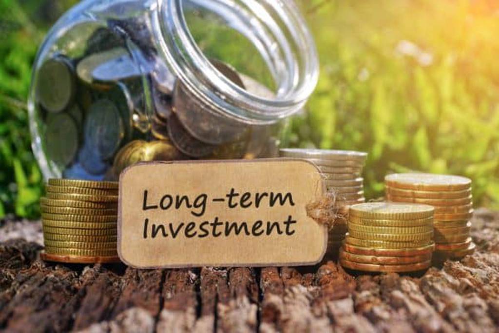 Long Term investment strategies