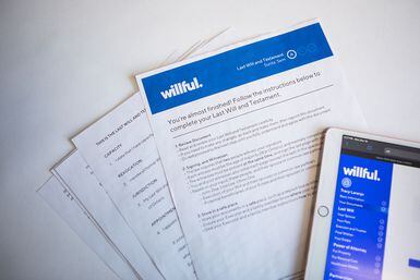 Willful review